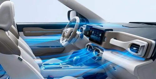 以為只是買輛家用車，沒想到就這樣擁有了健康出行生活